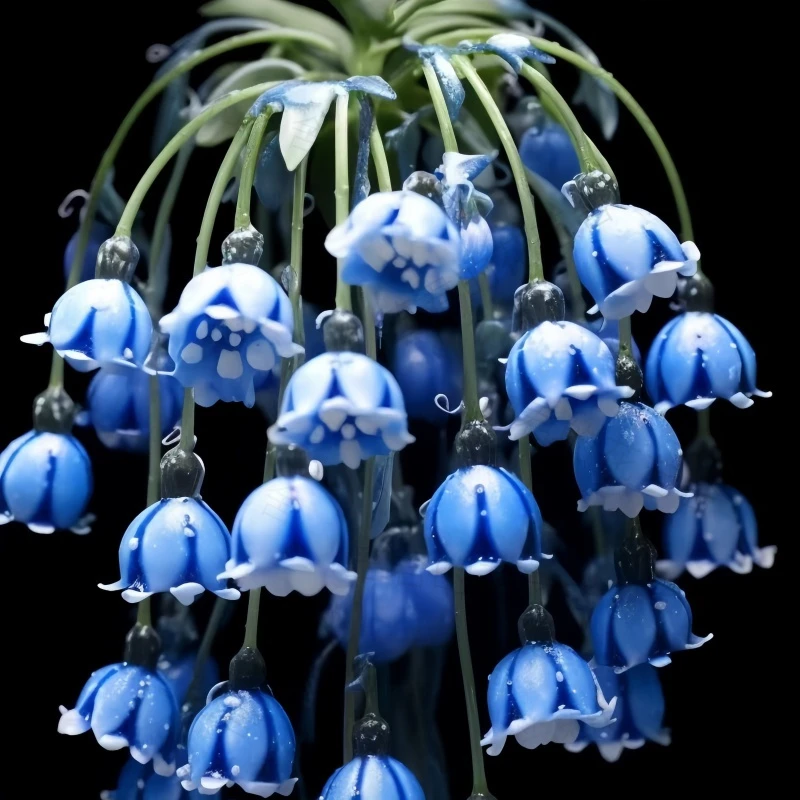 铃兰花苗家庭好养花卉绿植夏季室内香薰盆栽四季开花耐热耐寒包活