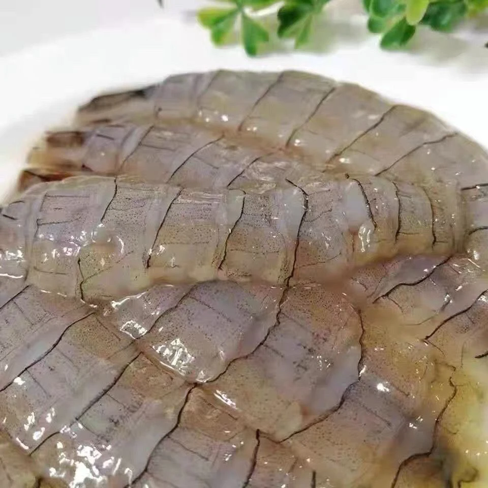 皮皮虾肉 小船当天上岸活虾现剥 中个头