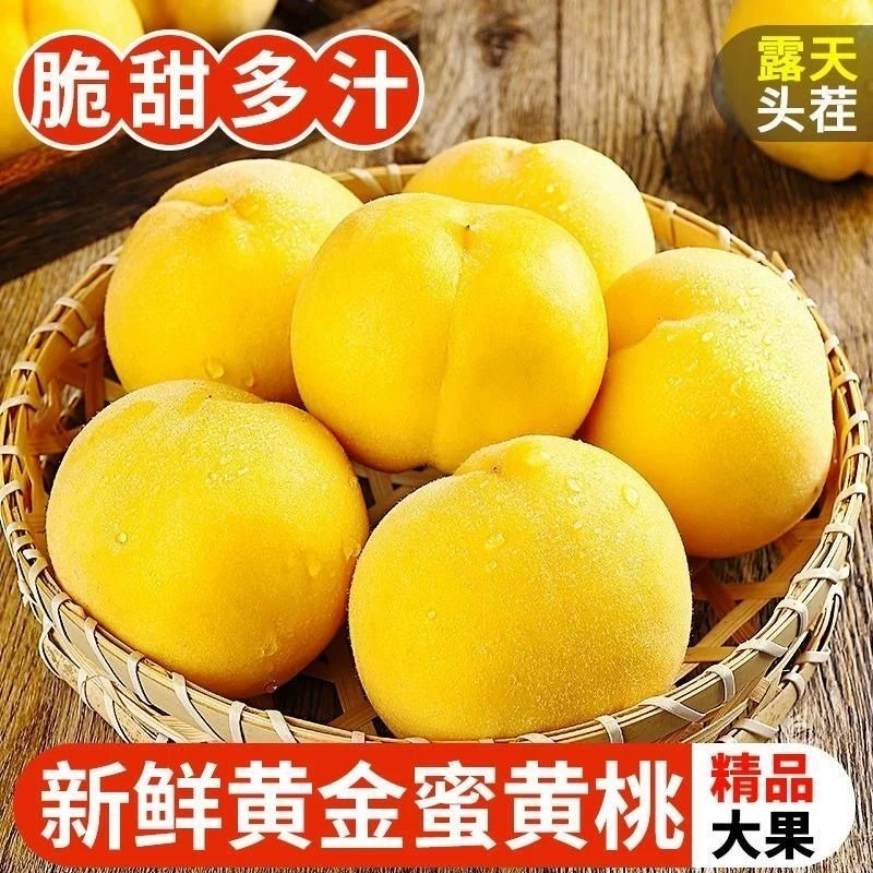 山东蒙阴黄毛桃当季新鲜黄金水蜜桃现摘现发时令水果4.5斤箱包邮