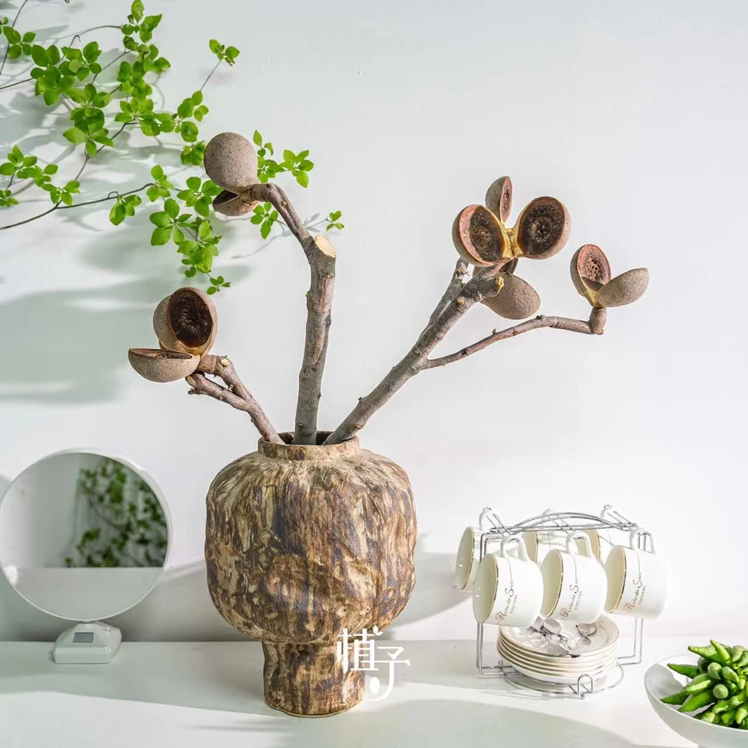 【阿毛专属】澳洲进口高端花材-哈克木一物一拍（以直播间展示为准）