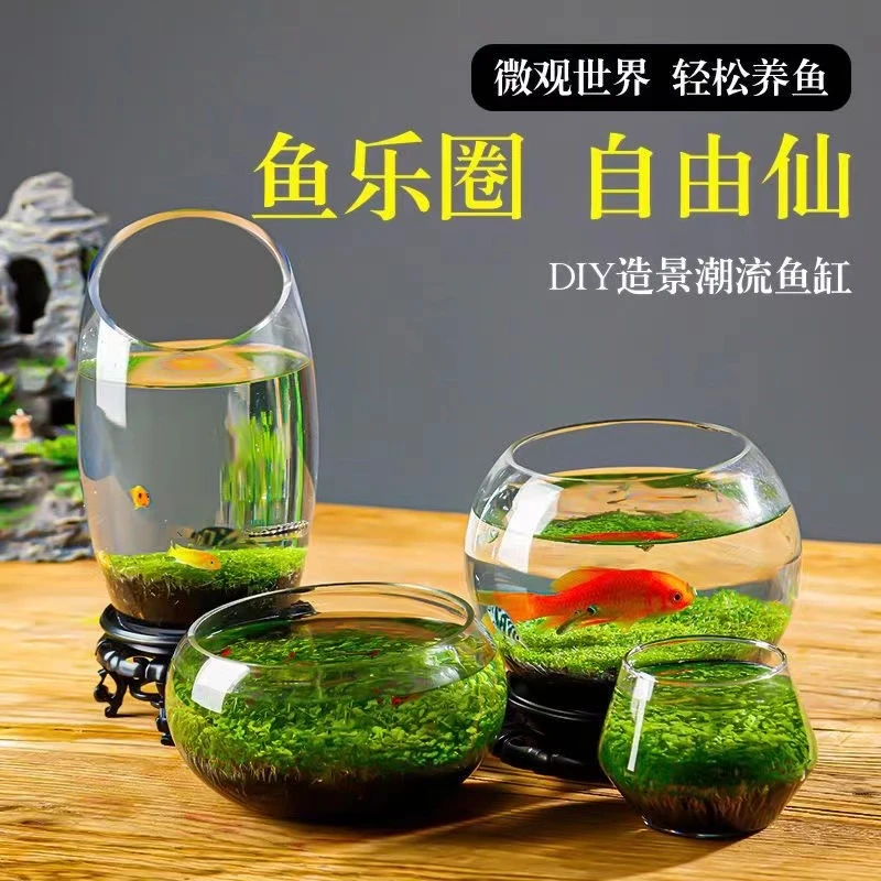 水草种子水草泥水草缸生态玻璃鱼缸小型斑马鱼七彩水养鱼缸海草泥