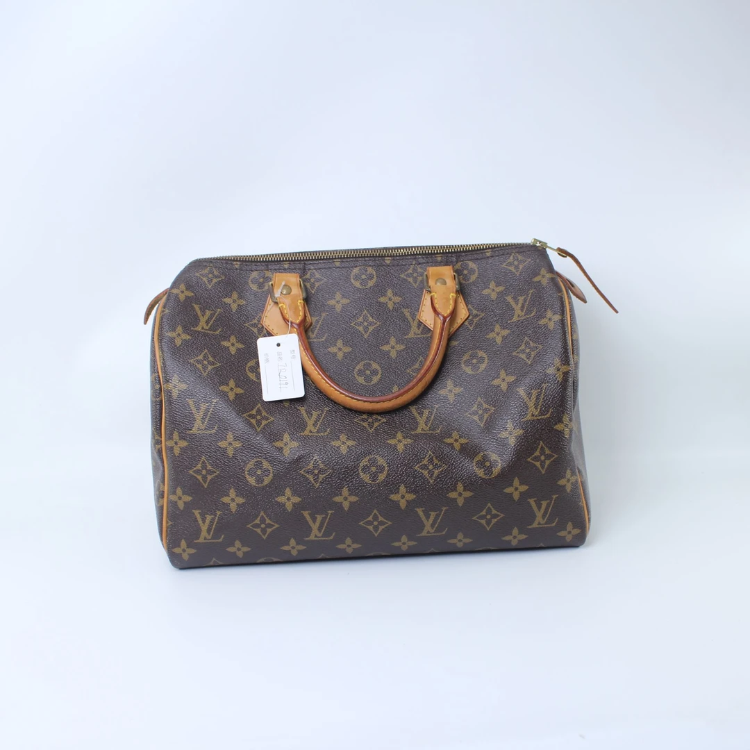 95新 LouisVuitton/路易威登 经典老花Speedy30手提包TR0191