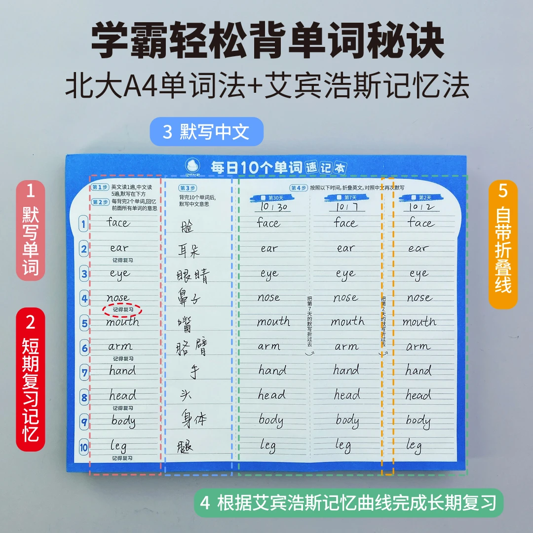 英语每日10个单词速记