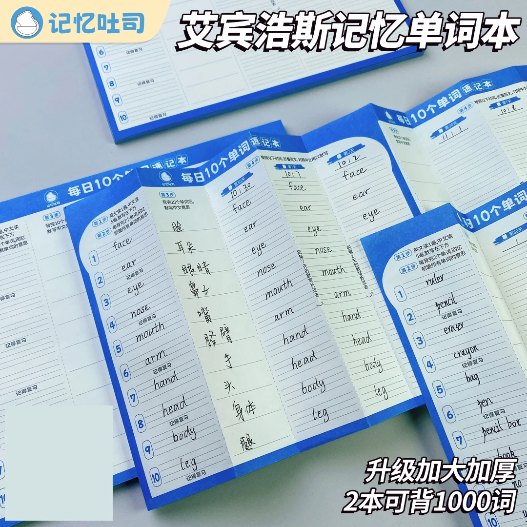 每日10个单词英语速记
