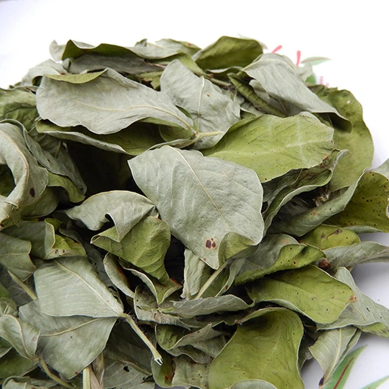 正宗新货花生叶花生叶片干货花生叶250-1000g包邮花生叶非荷叶