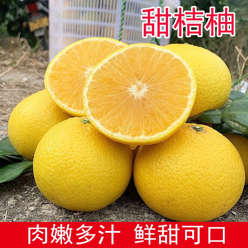 甜桔柚甜心蜜橘柚子香甜多汁新鲜应季水果5斤福建酸甜清甜浓郁