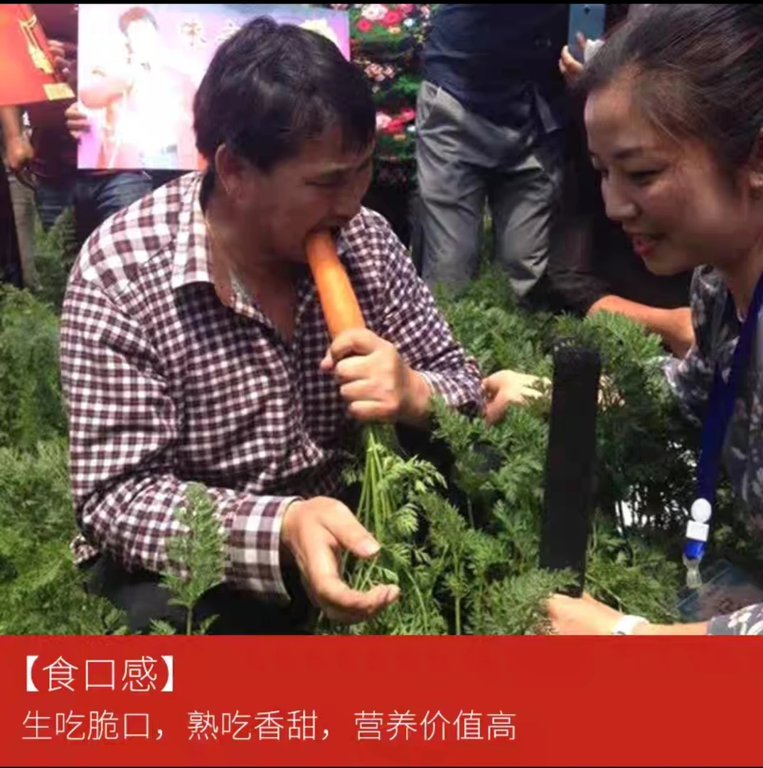 店埠臻选好品【带泥胡萝卜】绿色食品认证“三红”胡萝卜脆甜生吃榨汁