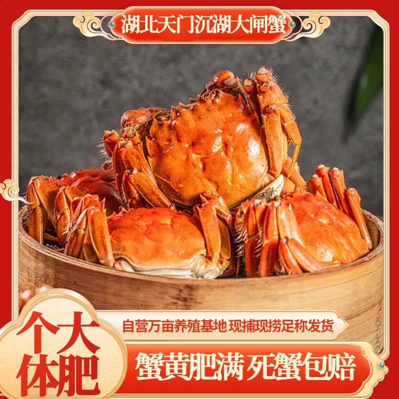 【活蟹】天门沉湖大闸蟹 公3.7-4.0两 母2.7-3.0两 各4只 礼盒