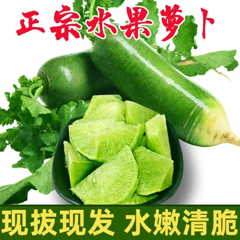 平度水果青萝卜固始优质应季食用清甜多汁好吃种植鲜香生态饱满