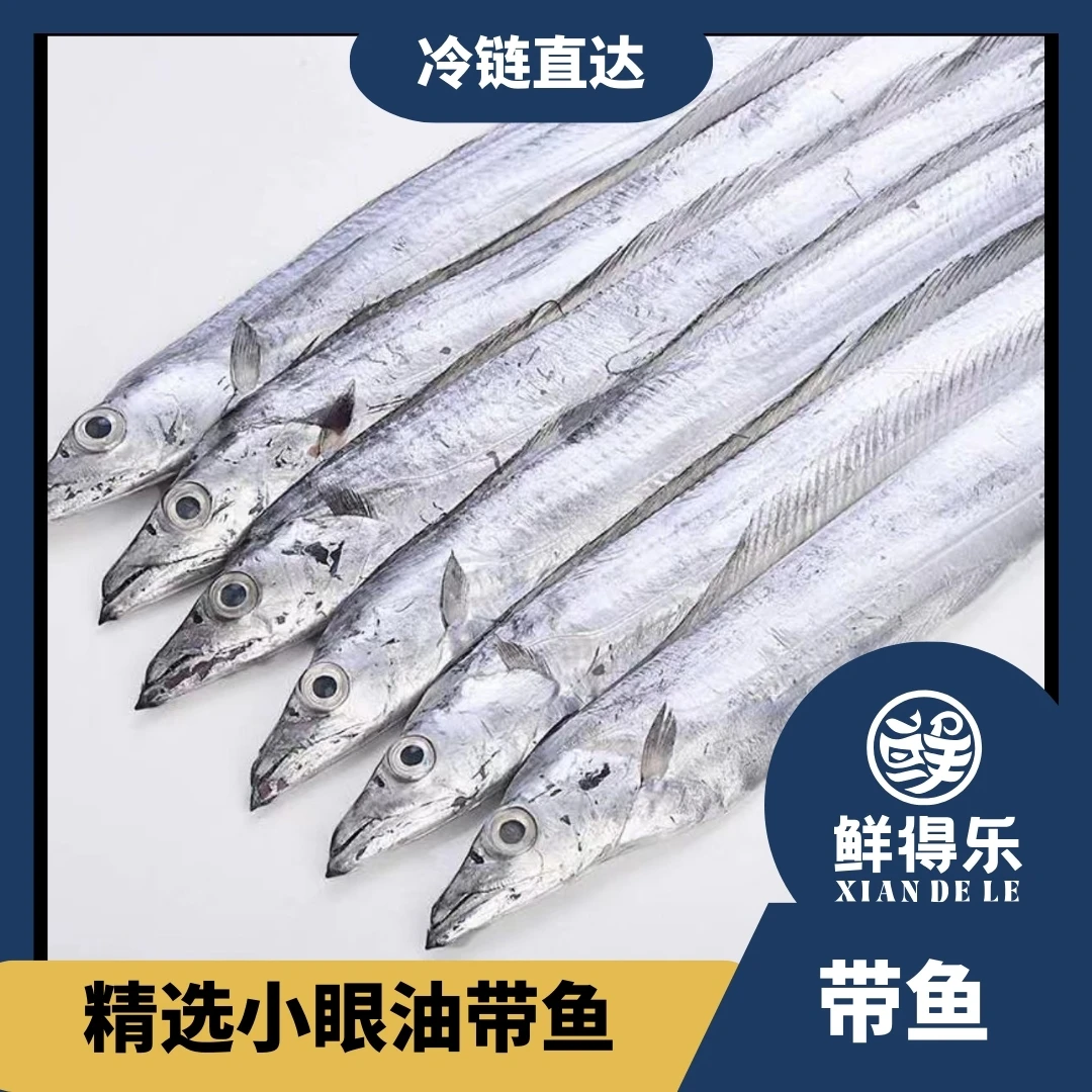 【带鱼】舟山小头小眼带鱼 现捕现捞