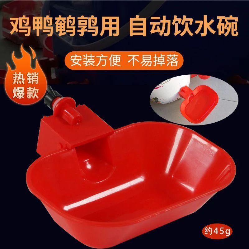 特大号鸡鸭鹅用饮水碗自动饮水器宠物用喝水碗家禽鸡场用品