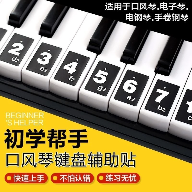 口风琴键盘贴纸37键32键初学者儿童学生电子琴简谱贴适用天鹅奇美