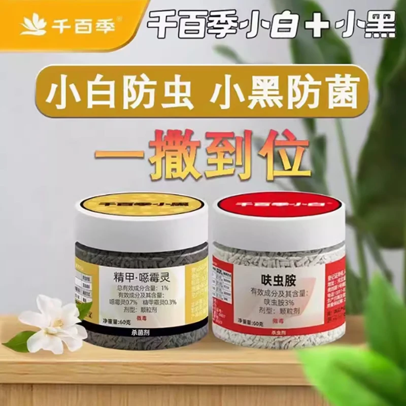 小黑小白杀虫剂月季兰花适用一次施用可达60天左右呋虫胺家庭移栽