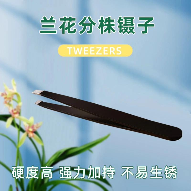 易趣植兰花工具不锈钢镊子兰花分株清理枯叶