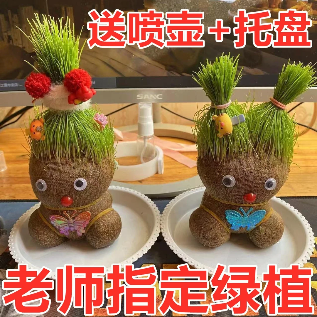 草头娃娃娃娃头上长草桌面办公室迷你好养幼儿园学校盆栽礼物猫草