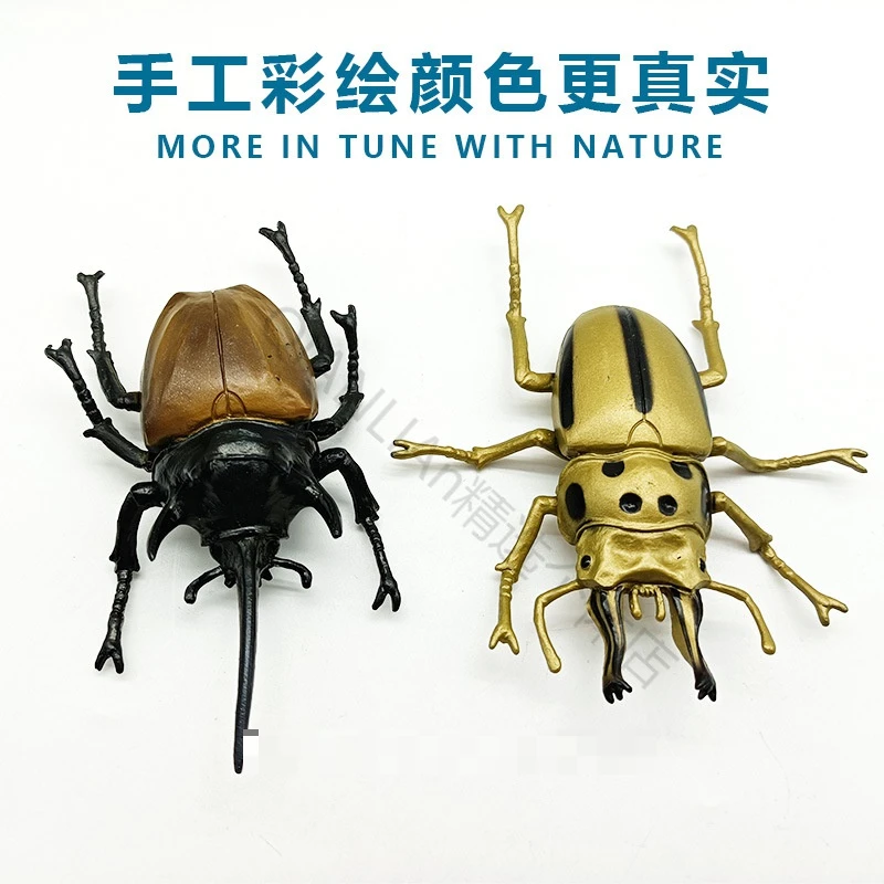 大号仿真甲虫模型玩具独角仙大兜虫鹿角虫锹形虫模型儿童早教工具
