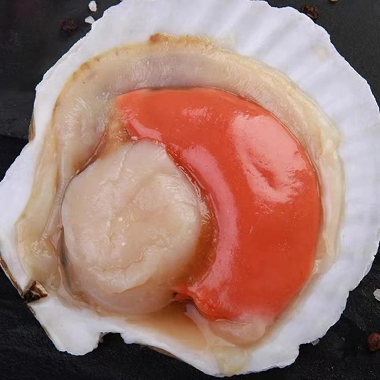 超大个扇贝冷冻，2-3个一斤，肉厚饱满，鲜嫩，清蒸，烧烤首选