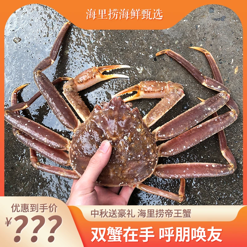 冰鲜松叶蟹（板蟹）红毛蟹肉质鲜甜，性价比高 冰鲜个别有少腿