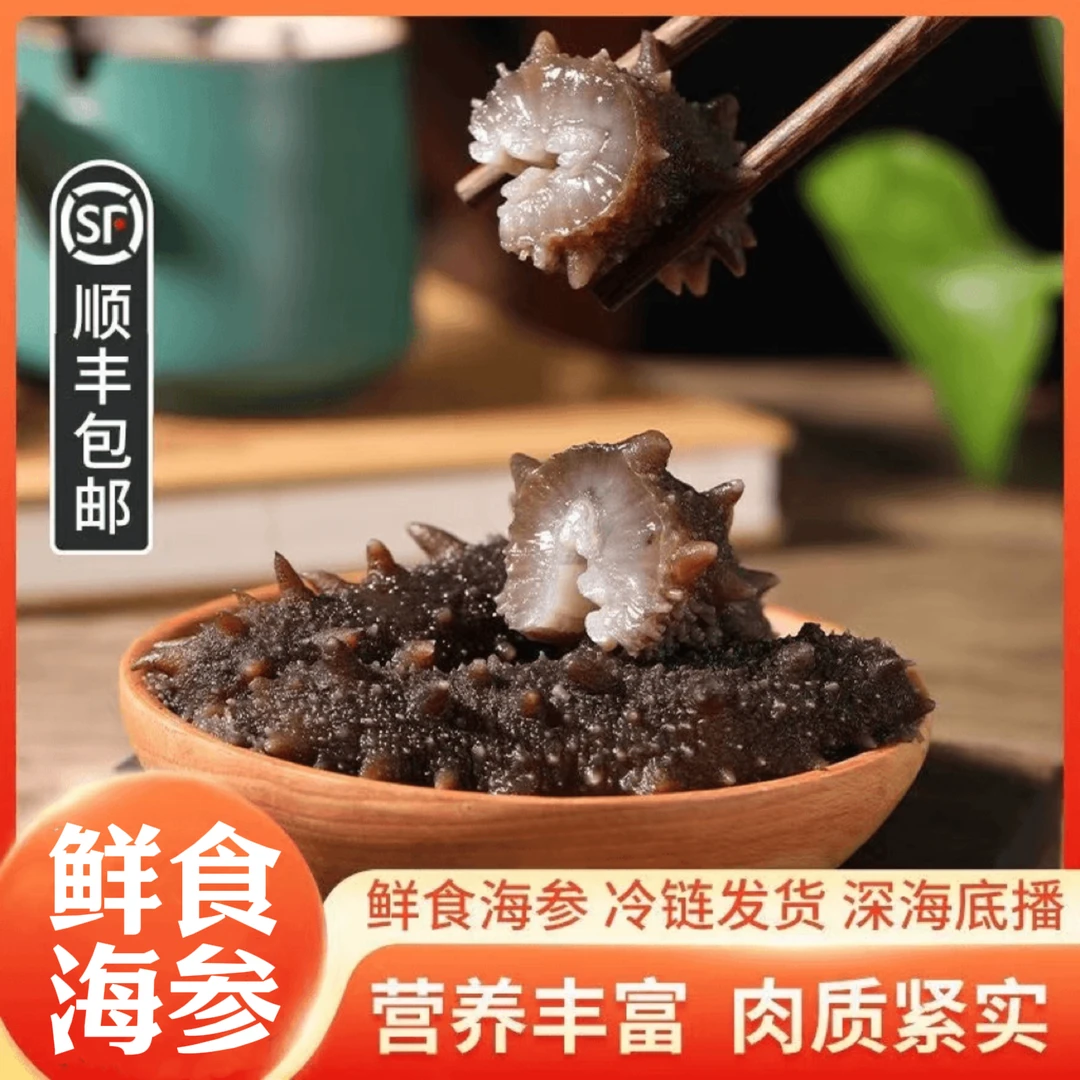 1斤装6A鲜食海参新鲜独立包装大连辽参非淡干底播刺参