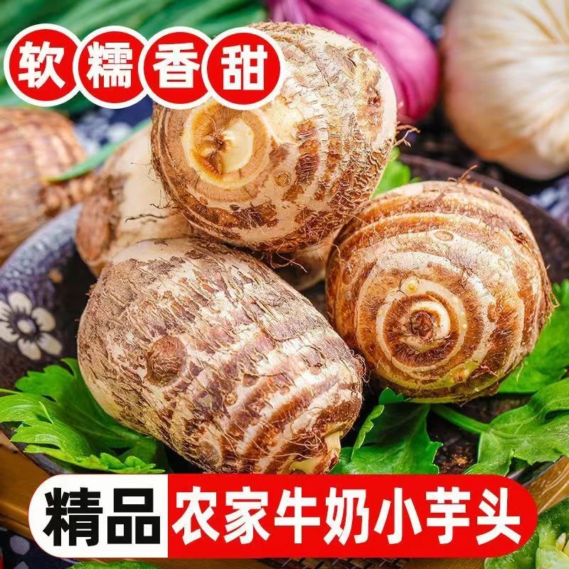 云南高山新鲜农家种植的牛奶小芋头3斤5斤9斤新鲜采挖软糯粉面