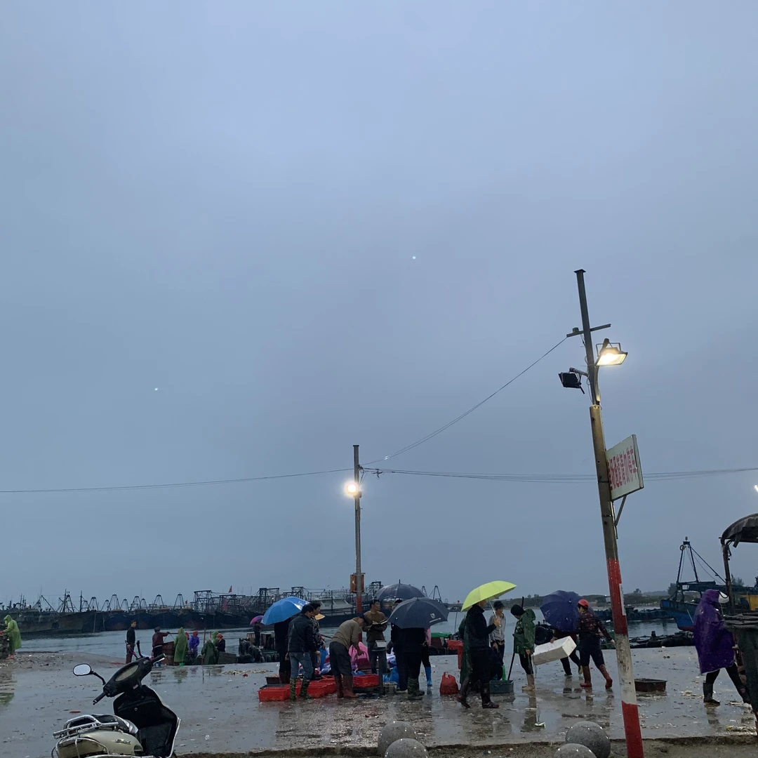 神泉港 杂鱼套餐2至50斤 重量以直播讲为主