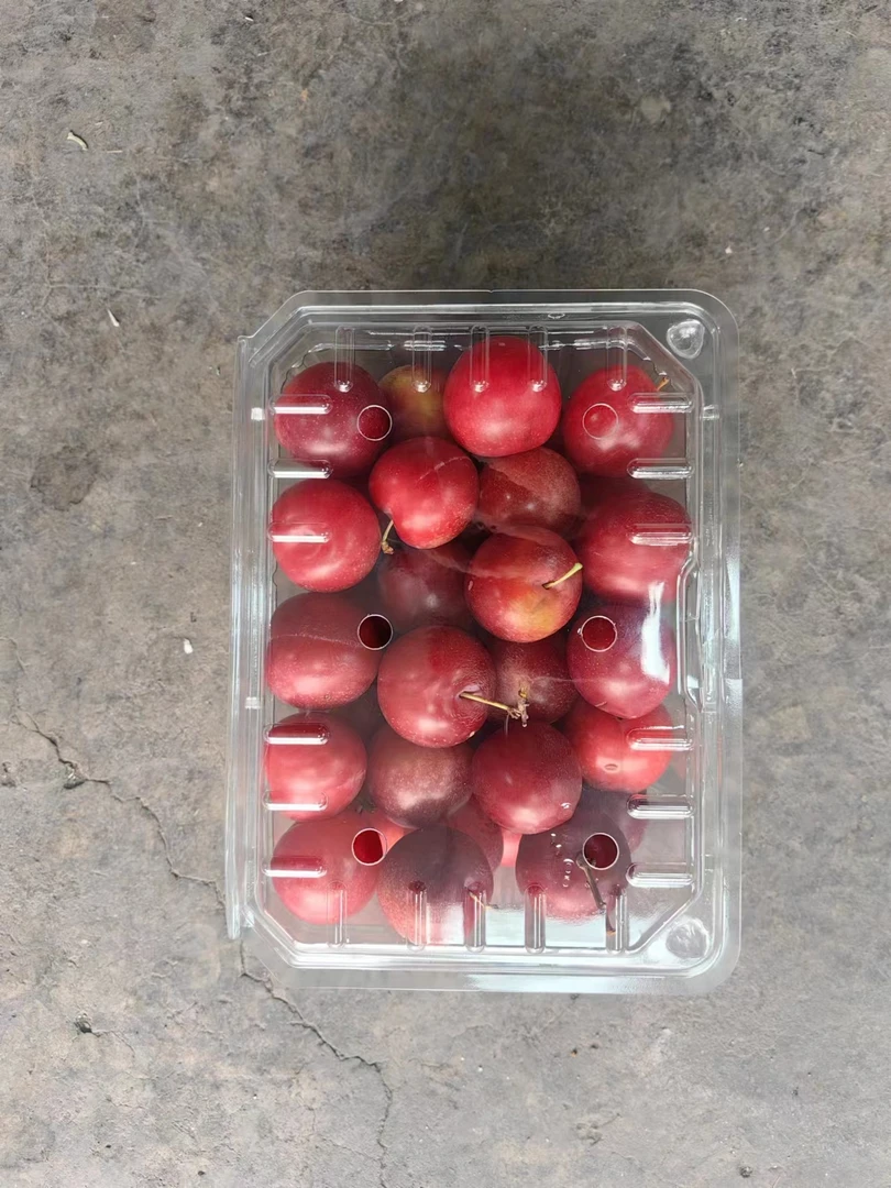 散装樱桃李2.5斤装纯甜口