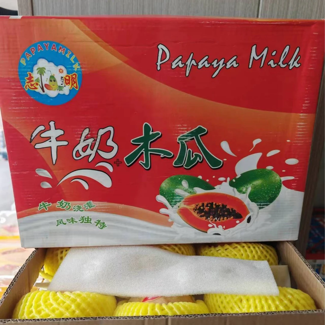 海南牛奶木瓜一件六粒装