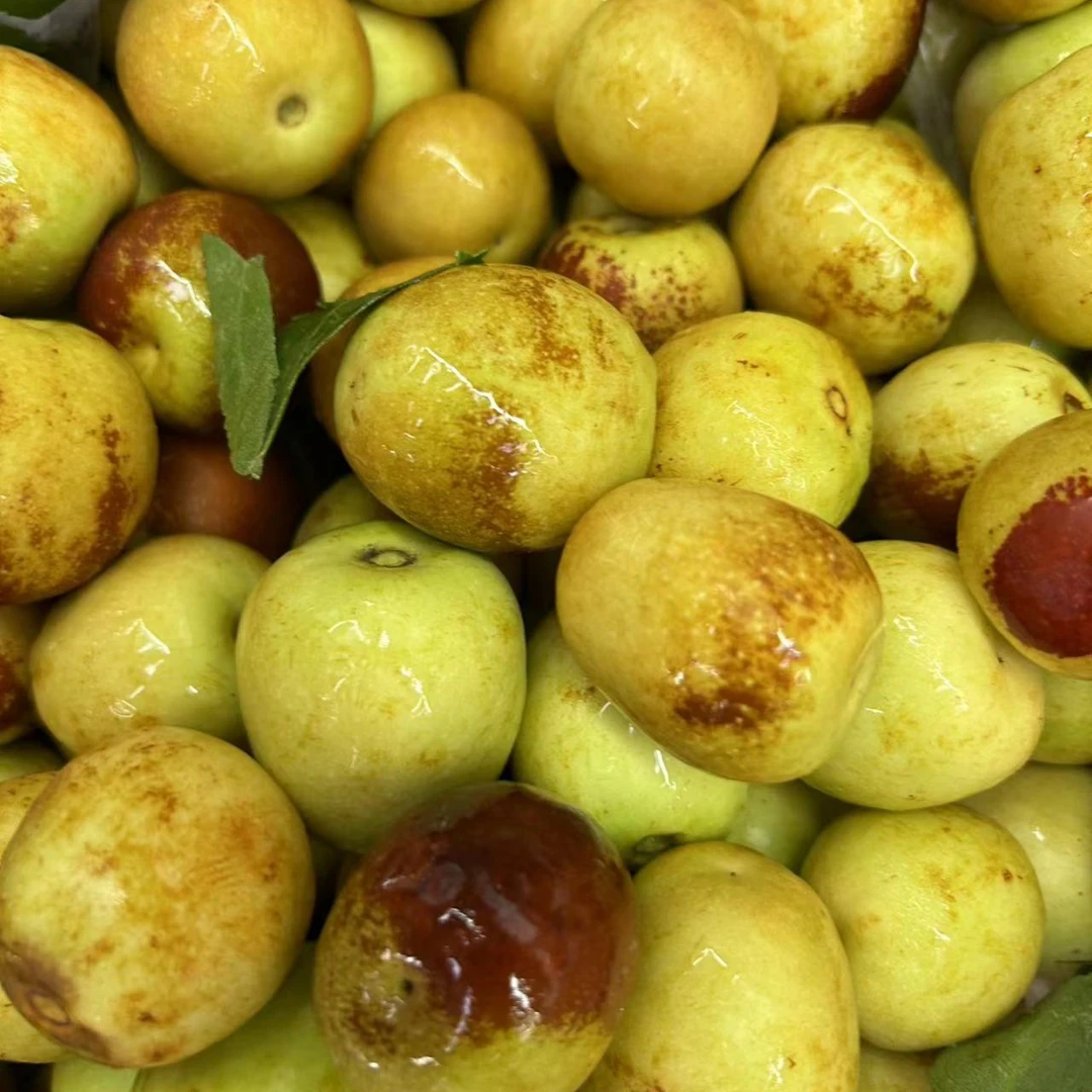 活动冬枣一份（毛重约1斤）