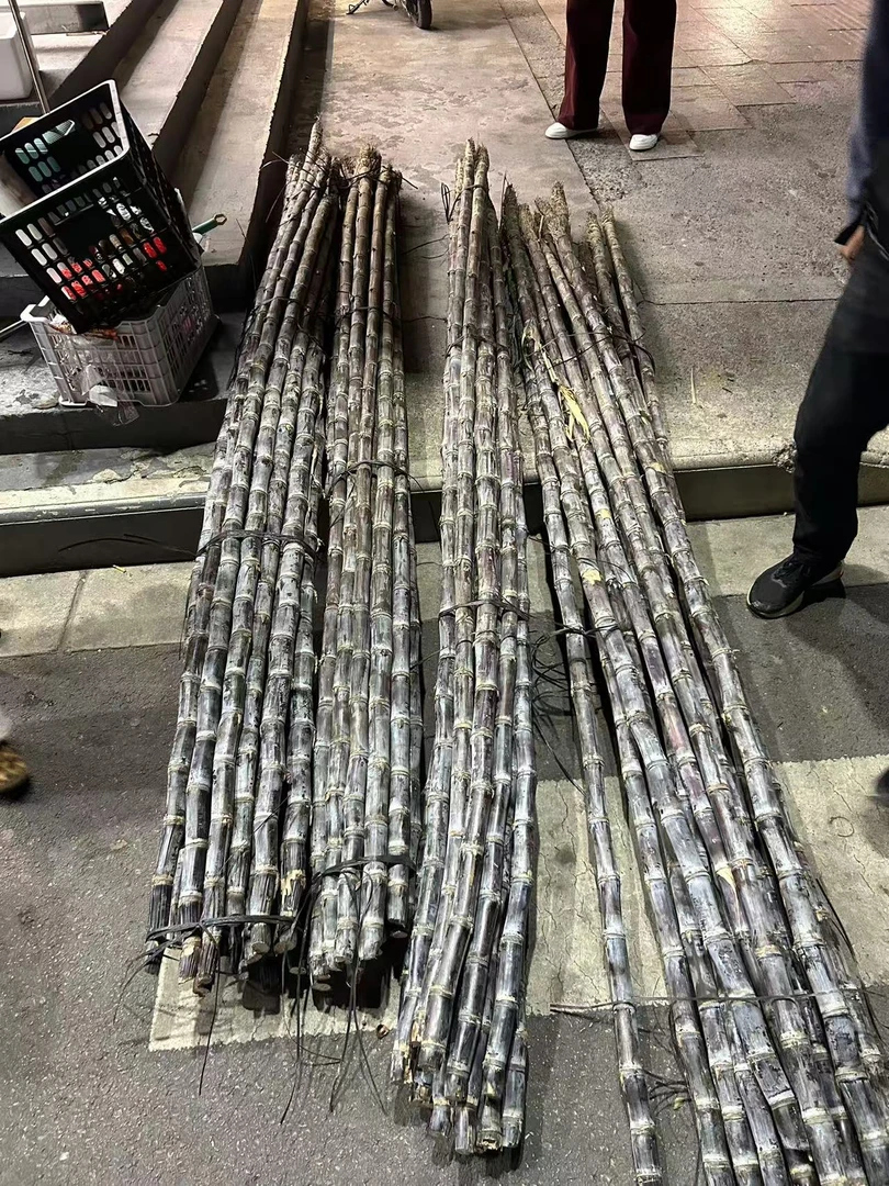 活动甘蔗（去完皮毛重约4斤/根）注：默认削皮切段！！！