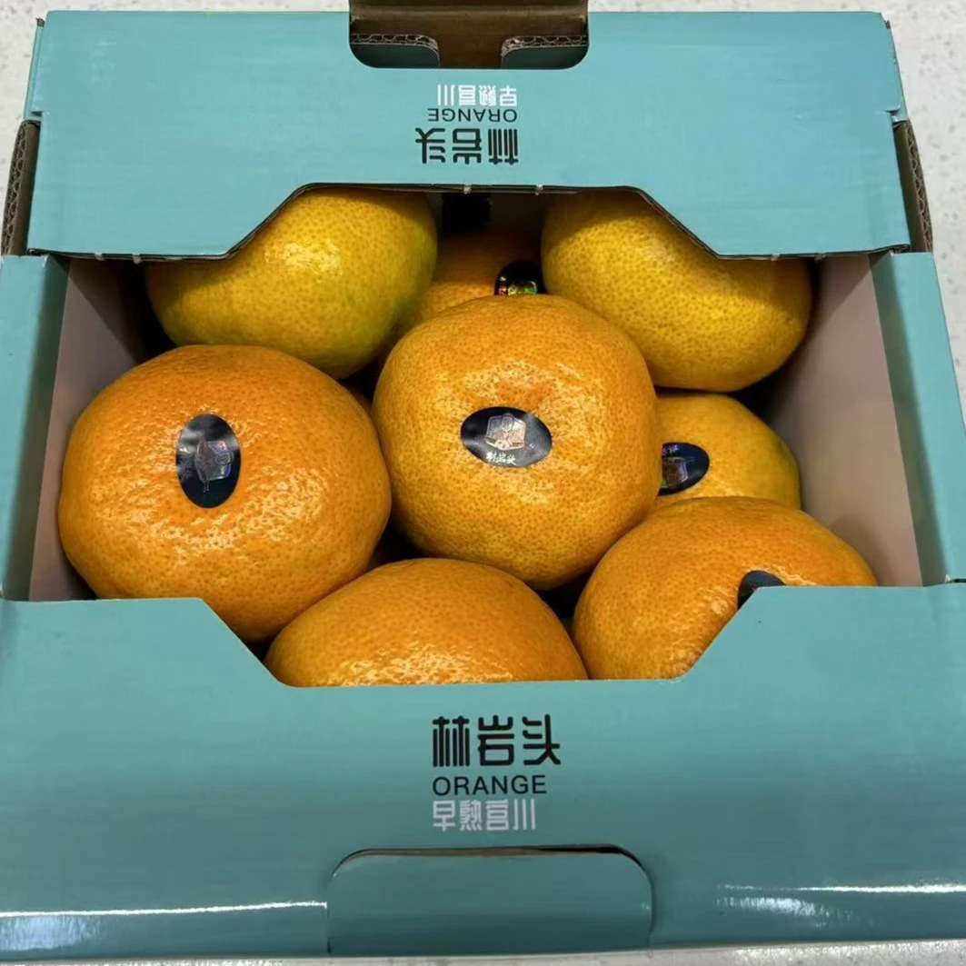 宫川蜜桔|酸甜多汁（毛重约5斤/箱）