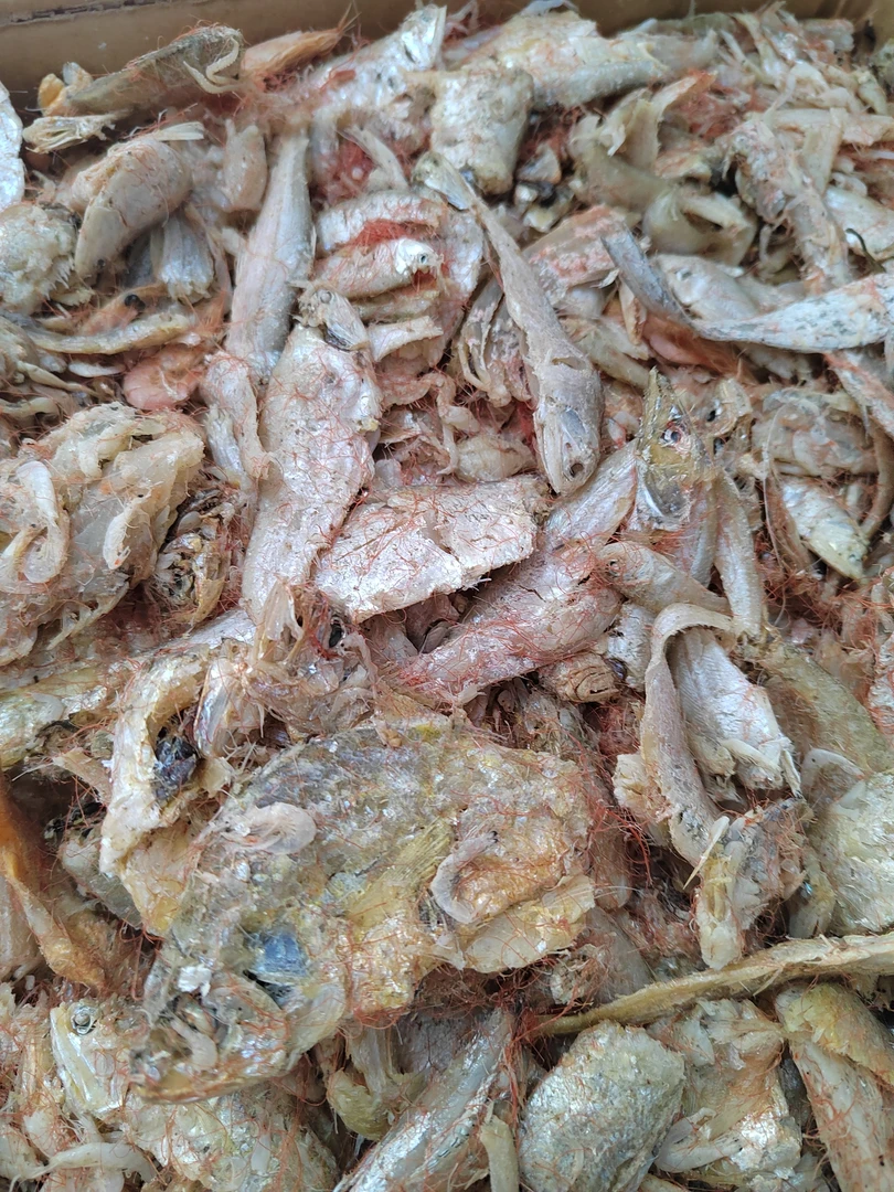 本地渤海湾虾皮里的锅包鱼