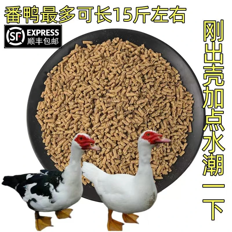 番鸭饲料可长12-14斤