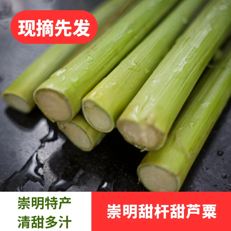 吴叔叔崇明甜芦粟芦稷现摘5/10斤装