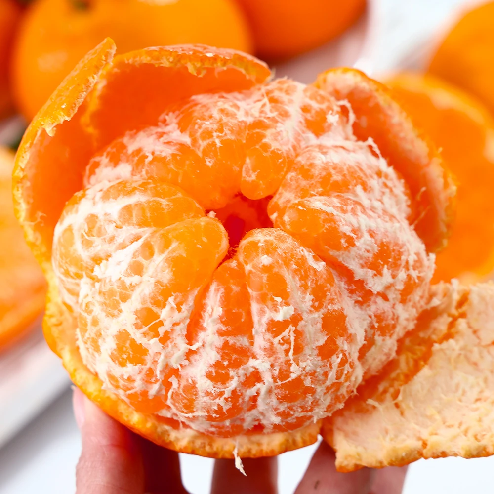 四川春见耙耙柑带箱大果多汁爆甜新鲜源头产地直发包邮B