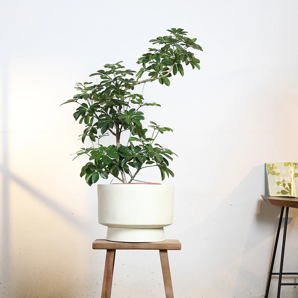 设计师款镁泥花盆北欧风透气简约落地种树大花盆器耐用个性盆器18