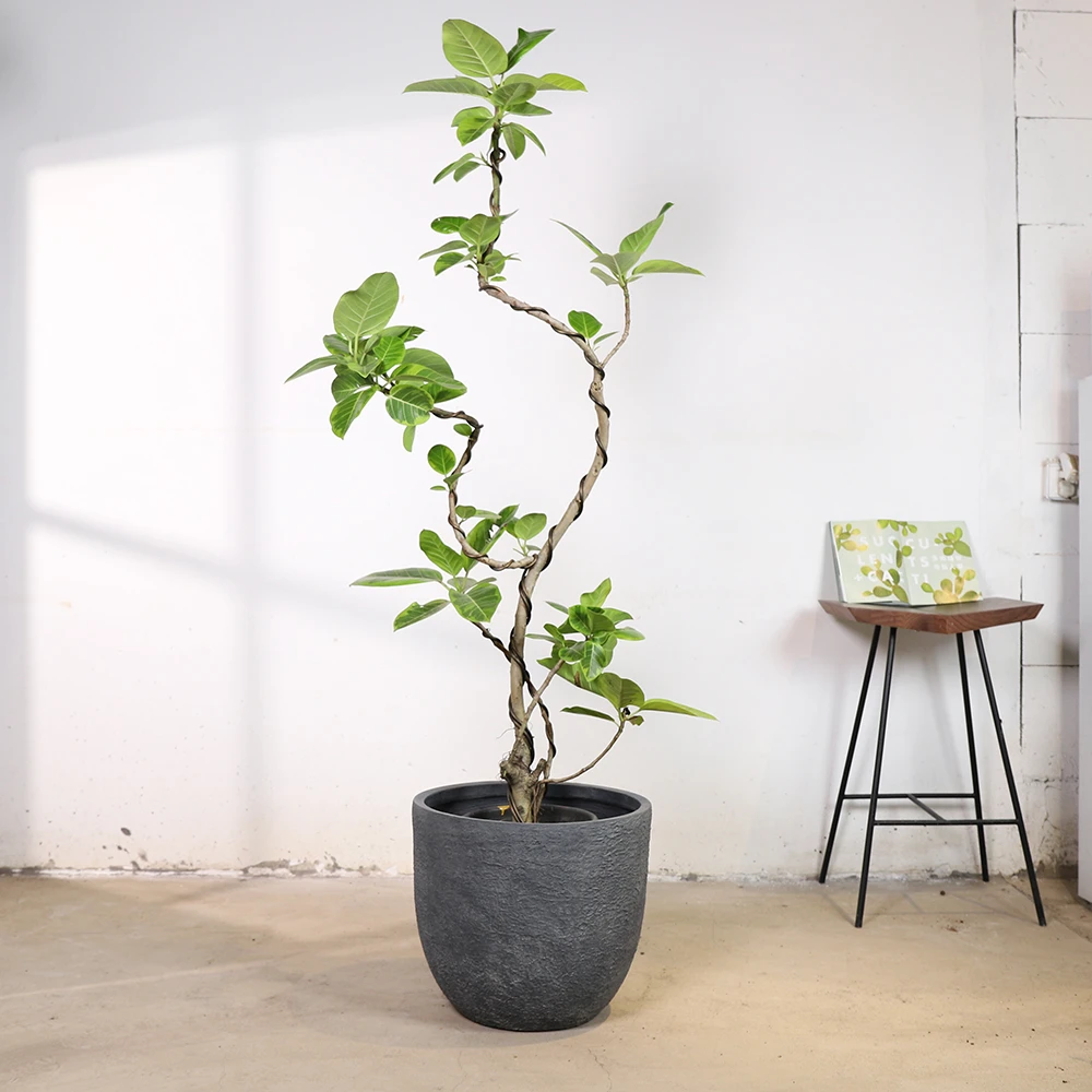 设计师款镁泥花盆纯手工制作客厅落地盆器种绿植盆器34迷你号
