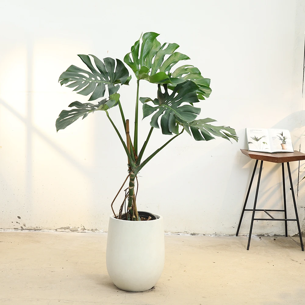 设计师款镁泥花盆北欧风花卉绿植盆器轻奢高级感现代落地种植15