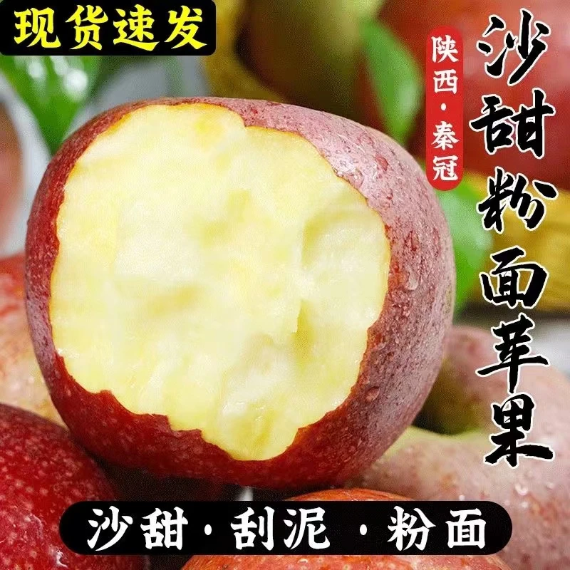 【粉面香甜】新鲜苹果陕西秦冠沙面香甜多汁新鲜水果自然好吃包邮