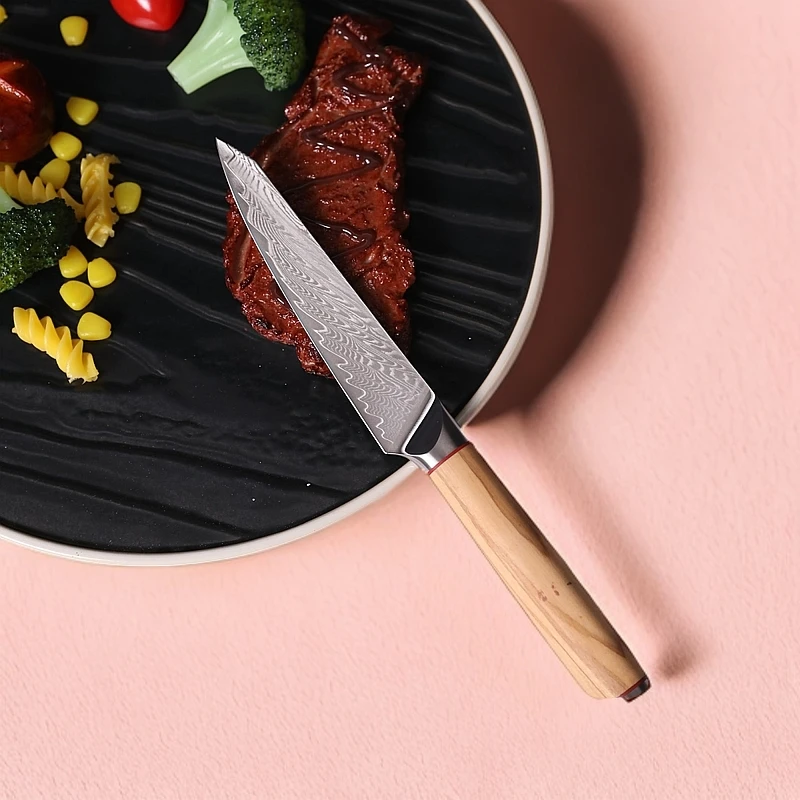 拓士德大马士革钢5英寸万用刀厨刀多功能小刀VG10钢厨用刀家用刀