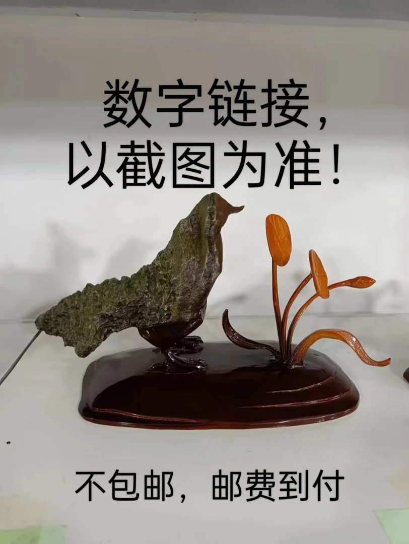 戈壁大漠沙尔湖沙尔泊奇石石捡石异性（不包邮）
