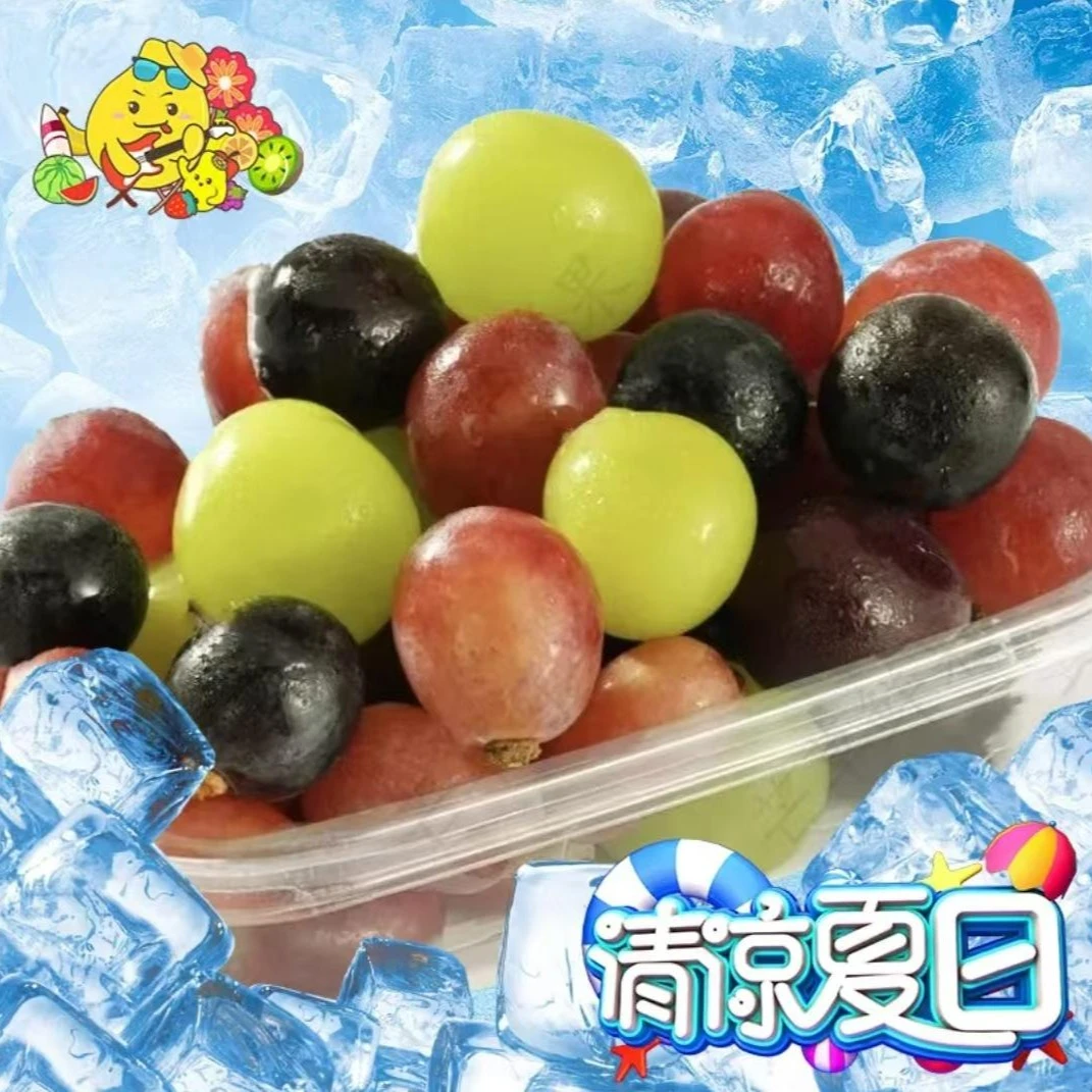 【冰镇夏日】冰镇三色葡提混合装 约250g