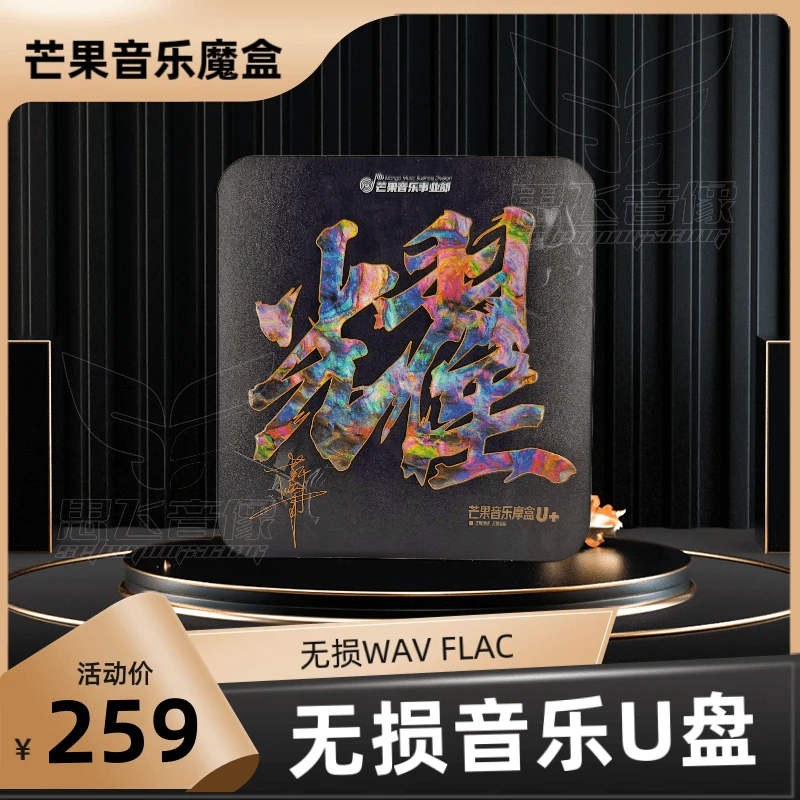 芒果车载音乐U盘 正版音源 内含WAV无损音乐 流行经典DJ发烧 Y