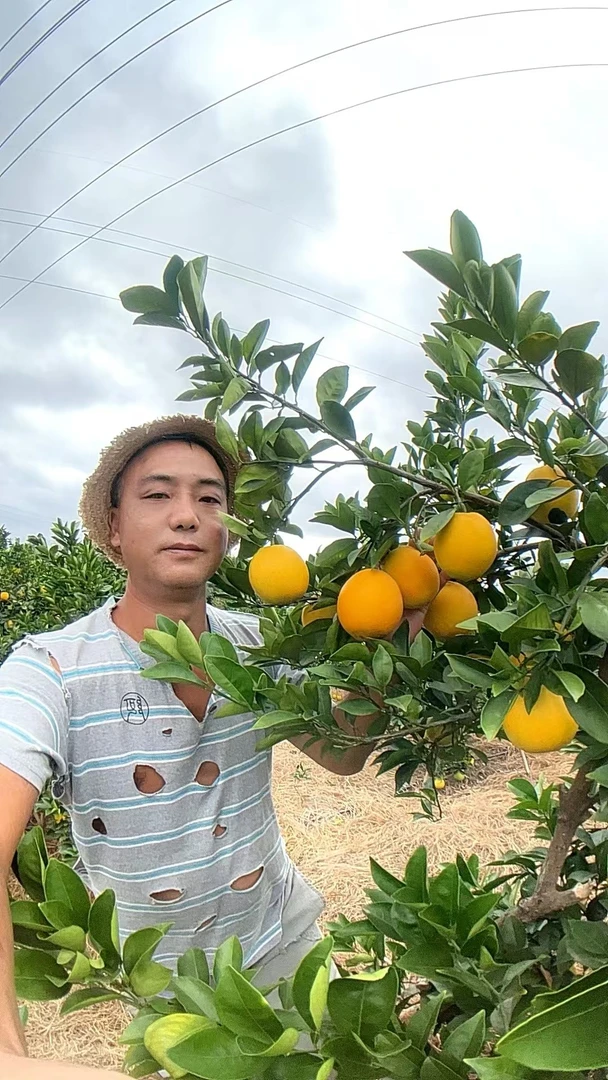 草根哥赣南脐橙20斤正宗江西赣南脐橙新鲜采摘带叶发货