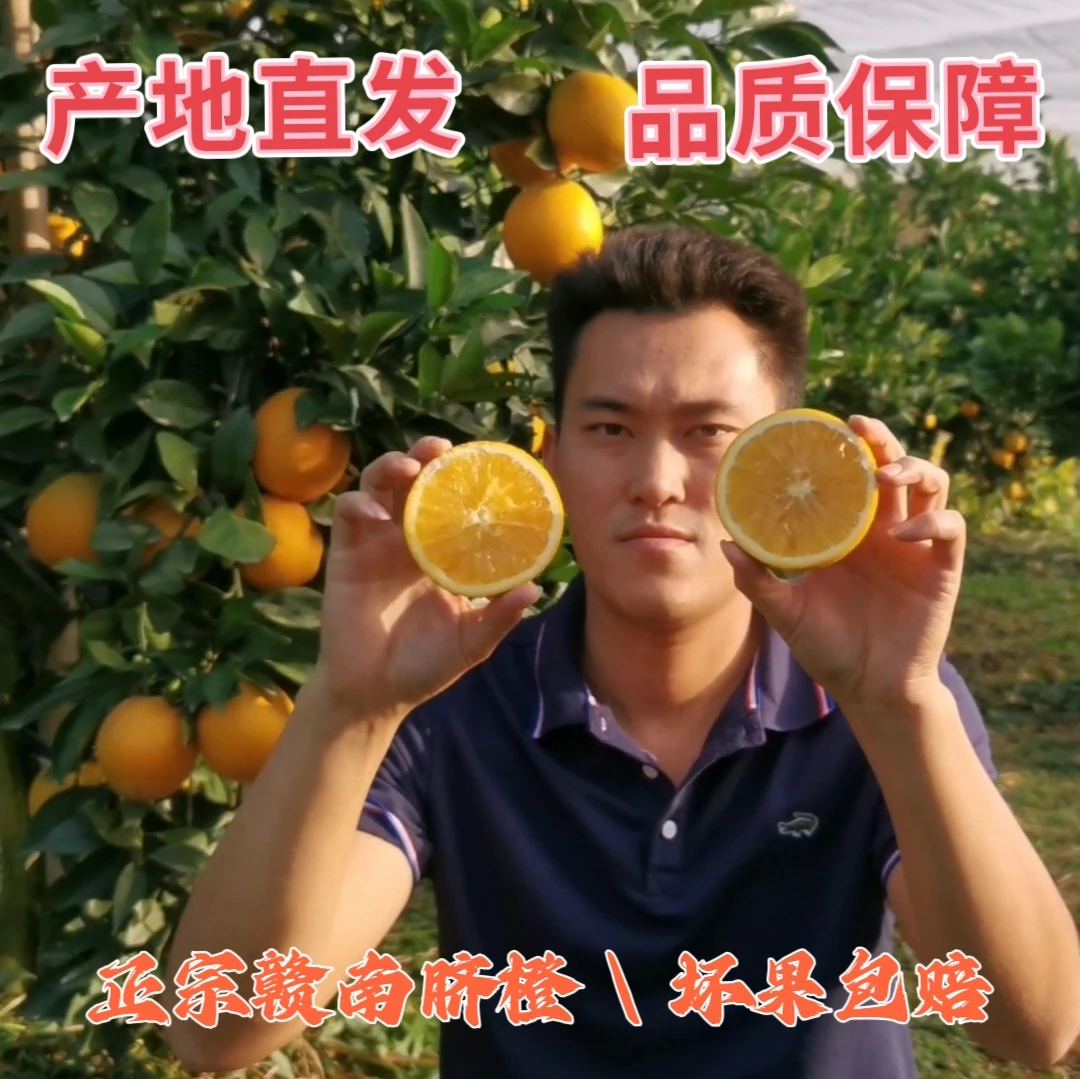 正宗赣南脐橙产地直发现摘现发当季水果