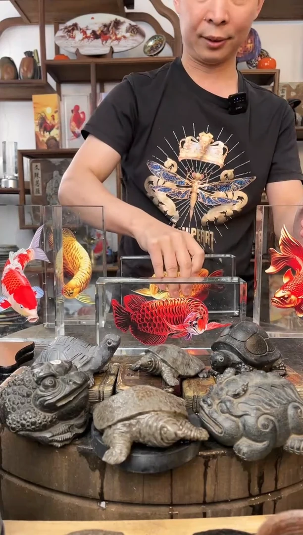 【闪购商品】水晶2方红龙鱼+金龙鱼1