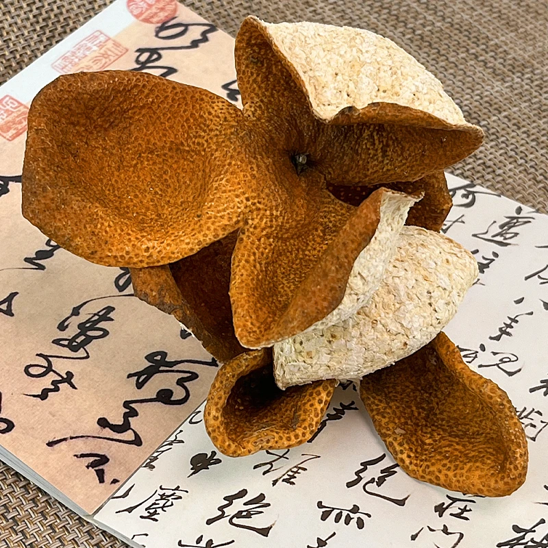 【2023年梅江圈枝】大红皮新皮自家果园生晒干仓储存新会陈皮