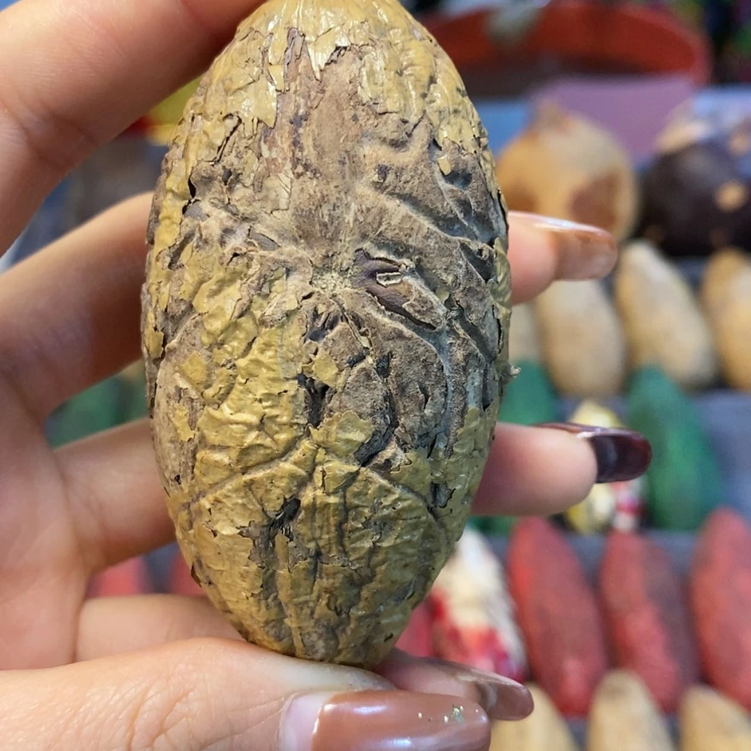 【闪购商品】木质根雕