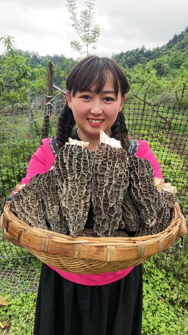 张家界高山羊肚菌