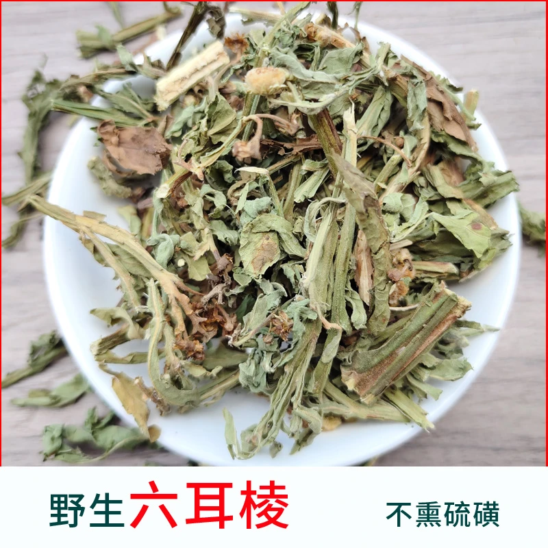 野生六耳棱鹿耳苓六角草羊仔菊六棱菊另有金不换蓝花柴胡墨旱莲