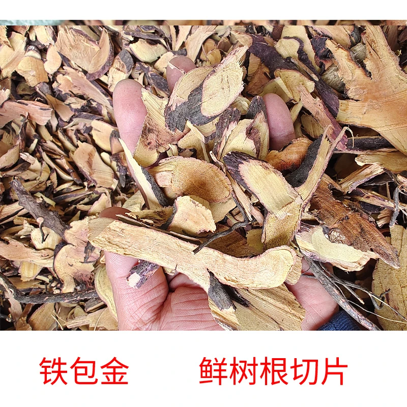 广西 铁包金 野生老鼠草 老鼠耳 勾儿茶乌金藤 小叶乌龙根 黄蟮藤